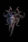 Season 15
Crux of the False Prophet