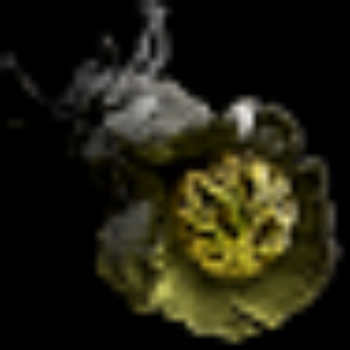 [PC] Curse of the Allflame Standard
Stranglegasp Onyx Amulet