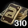 310 + 25 Bonds